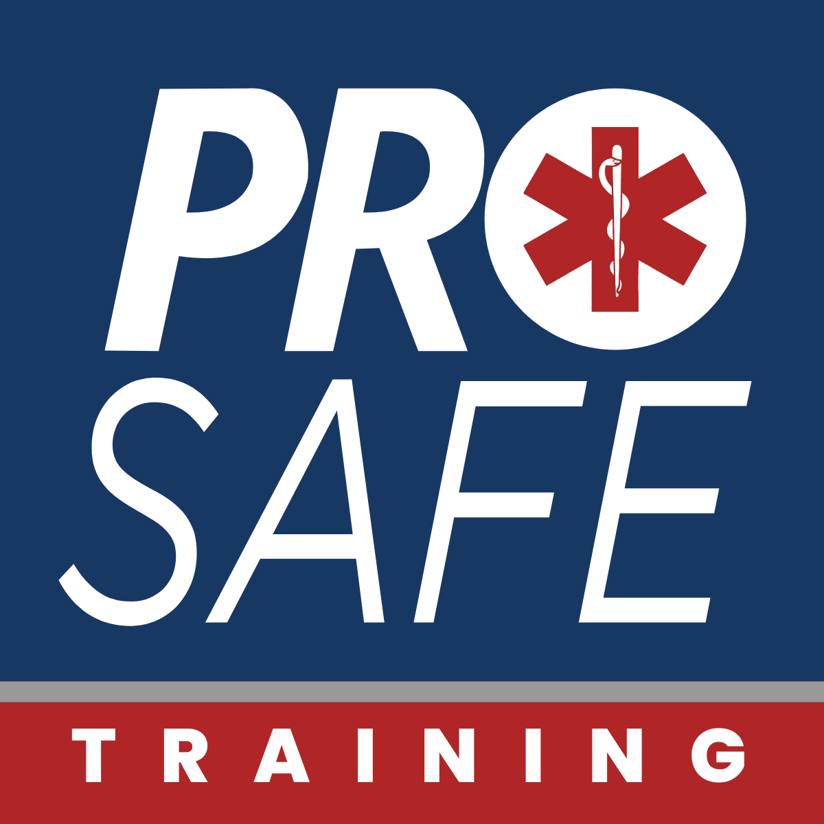 Construction Safety Officer ProSafe Training
