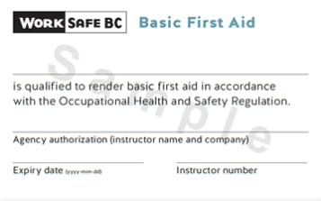 OFA Level 1 Basic